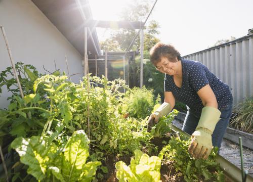 Woman planting garden 