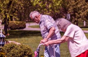 Older couple walking outside with assistance from walkers. Both of their backs are hunched over with stooped posture