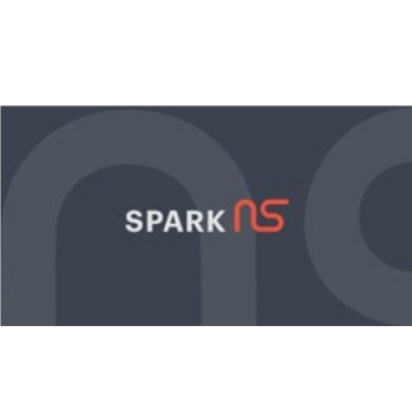 Spark NS logo