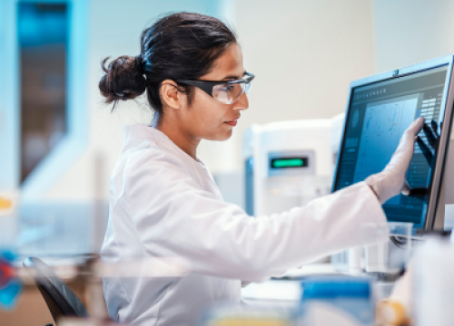 Researcher looking at the computer