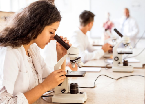 Scientist looking at microscope