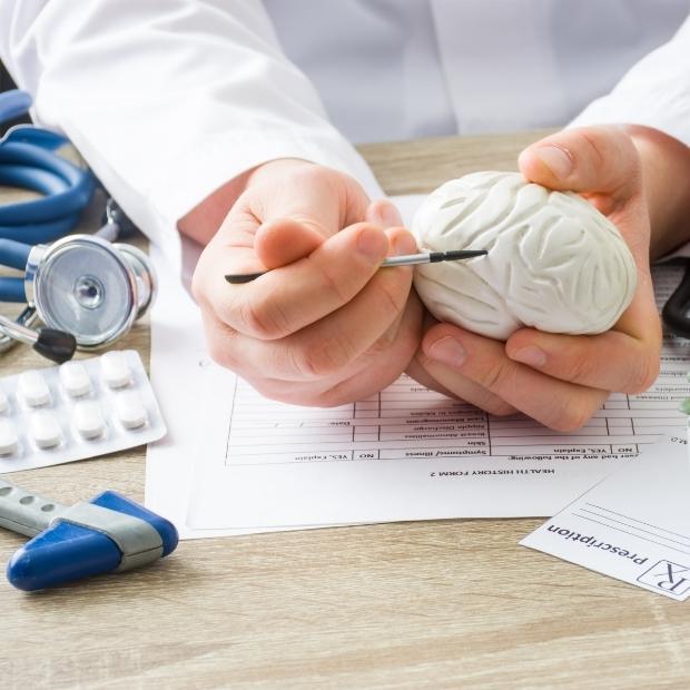 Doctor looking at a clay brain