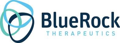 Blue Rock logo