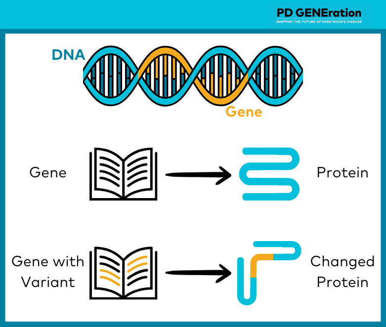 DNA Protein Variant graphic