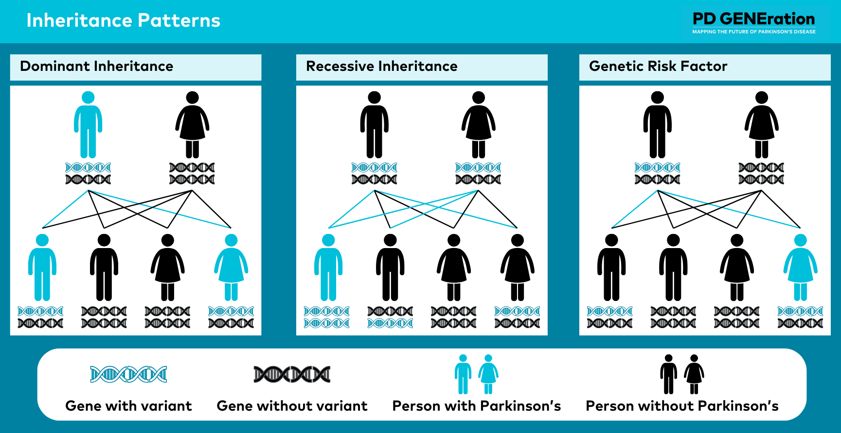 PDGENE Inheritance Patterns