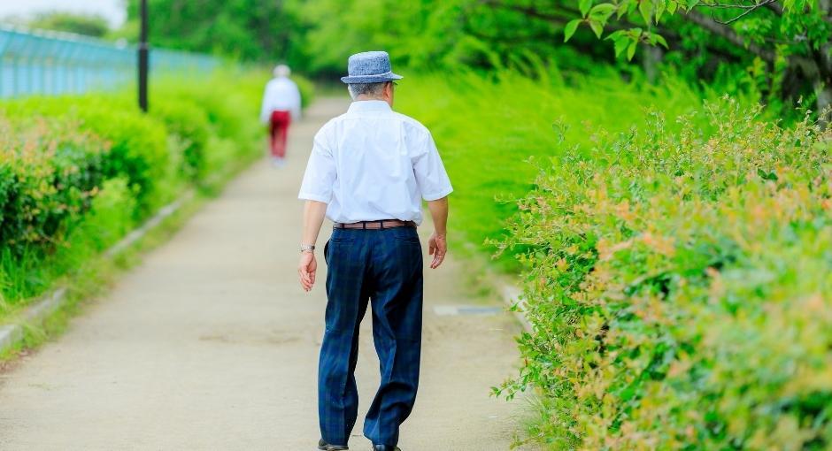 Man walking on paved path between two areas with grass and plants