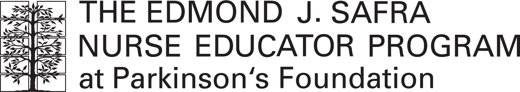 Edmond J. Safra Nurse Educator Program logo