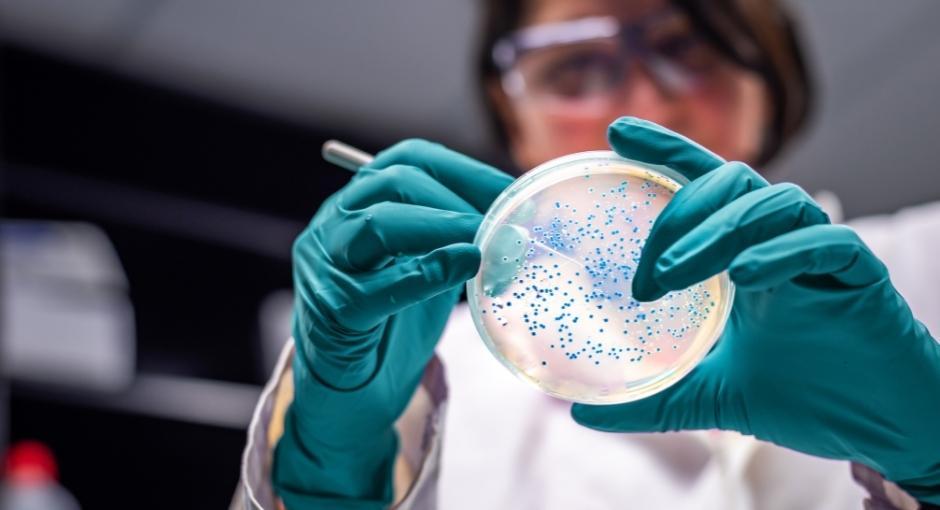 Woman researcher looking at small cells in a petri dish