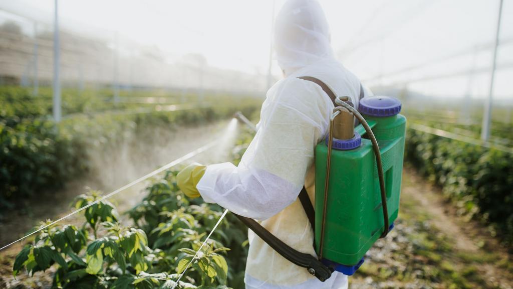 Spraying Pesticides